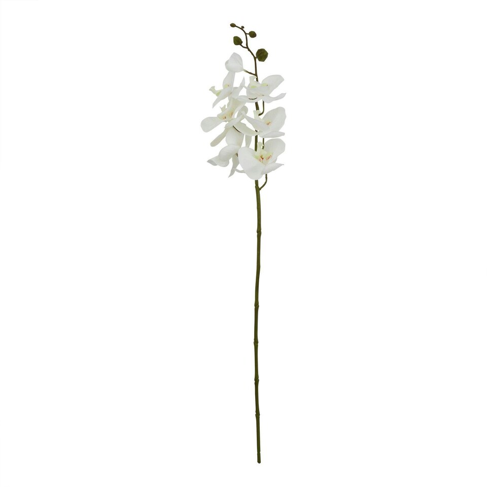 image 1 of Hill Interiors Butterfly Orchid Artificial Flower - White - 75cm x 10cm x 10cm