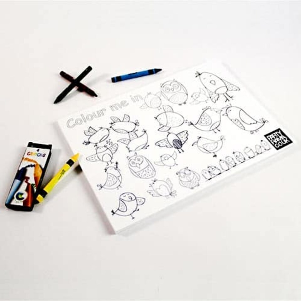 Birds Themed A4 Colouring sheet With 4 Crayons