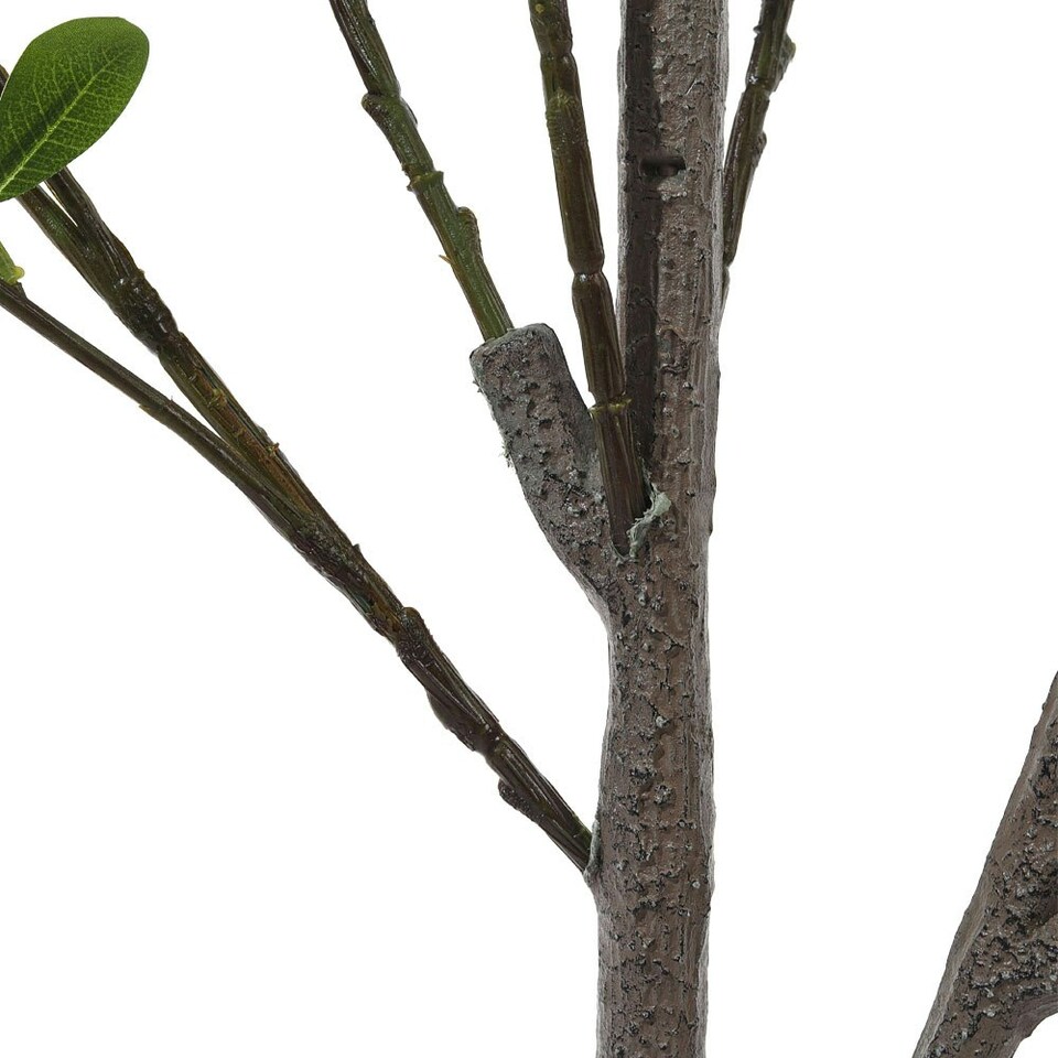 image 1 of Living and Home Artificial Frangipani Blossom Tree in Pot - 160cm