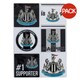 image 1 of Newcastle United FC Car Decal Set (Pack of 6) - Black/White - One Size Multi