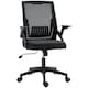 image 6 of Vinsetto Mesh Office Chair for Home with Lumbar Support, Flip-up Arm, Wheels Black
