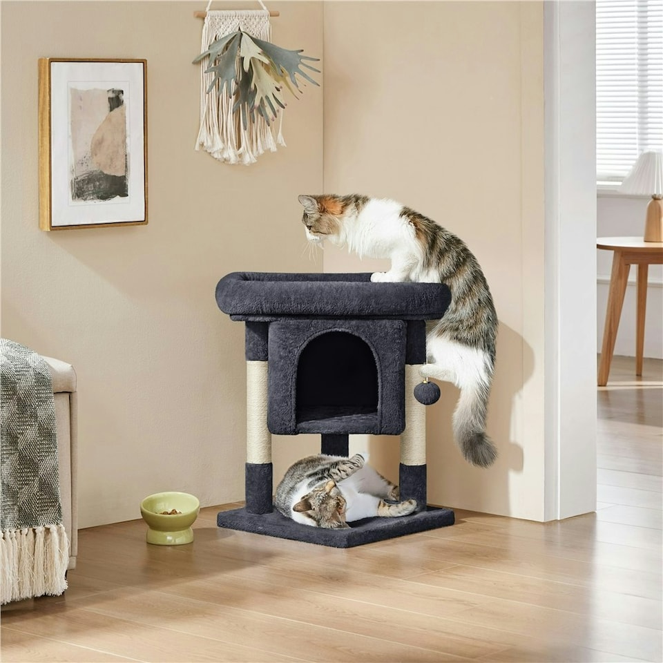 image 1 of Yaheetech 59 cm 2-Level Cat Tree with Condo Black