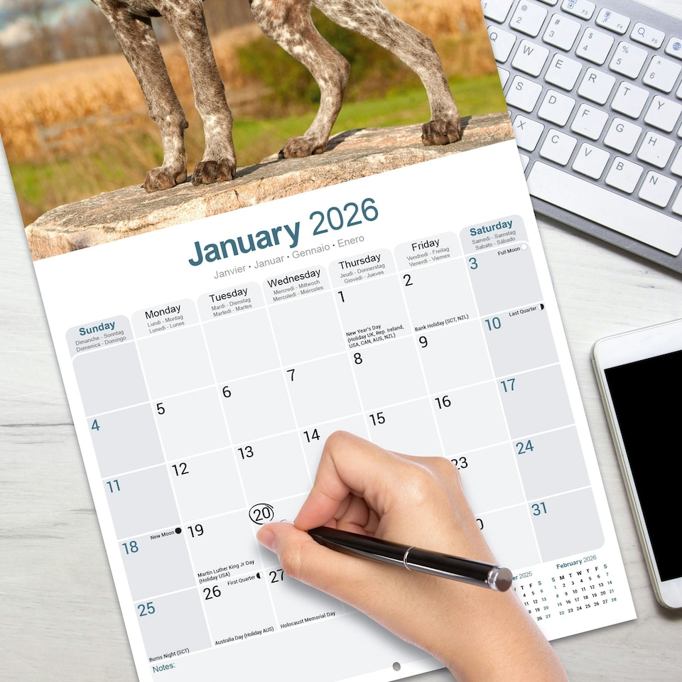 image 1 of German Shorthaired Pointer 2026 Calendar | Square Wall Calendar | Dog Breed Gift | Plastic Free Packaging | by Avonside Publishing
