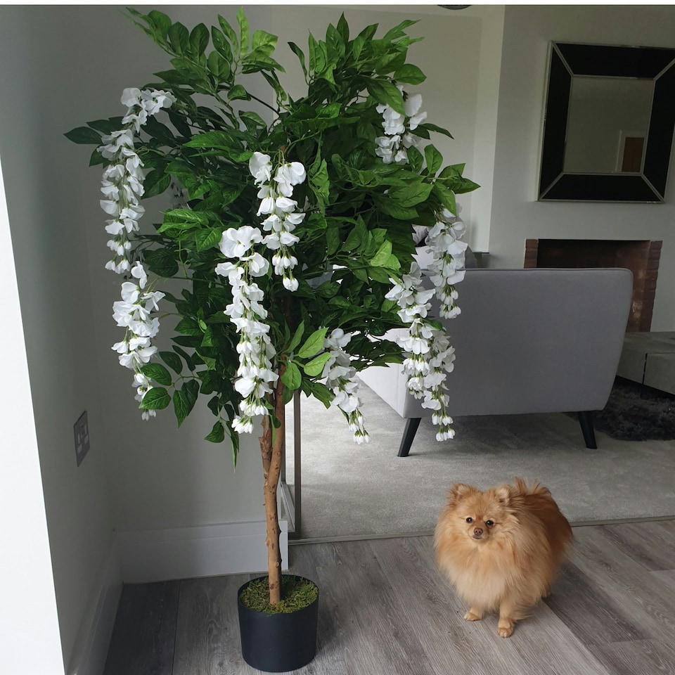 image 1 of 130cm Luxury Artificial Wisteria Tree White Flowers - Premium Range Gold Metal Planter