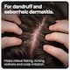 image 3 of Sons Ketoconazole 2% Anti-Dandruff Shampoo,  1x60ml