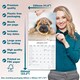 image 6 of Shar Pei 2026 Calendar | Square Wall Calendar | Dog Breed Gift | Plastic Free Packaging | by Avonside Publishing