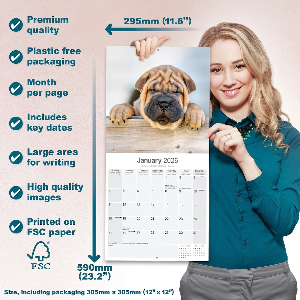 image 1 of Shar Pei 2026 Calendar | Square Wall Calendar | Dog Breed Gift | Plastic Free Packaging | by Avonside Publishing