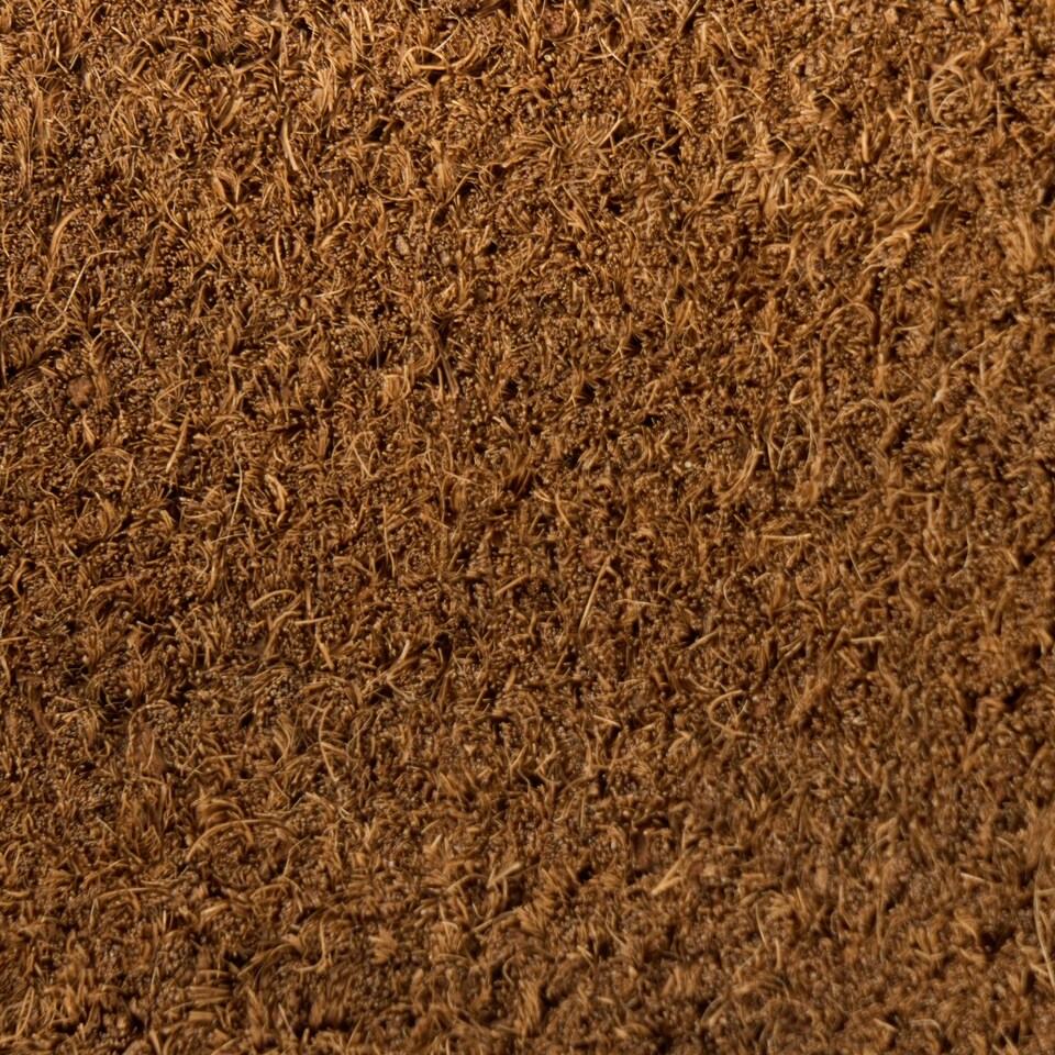 image 1 of OHS Bow Print Non Slip Coir Mat Doormat Rug