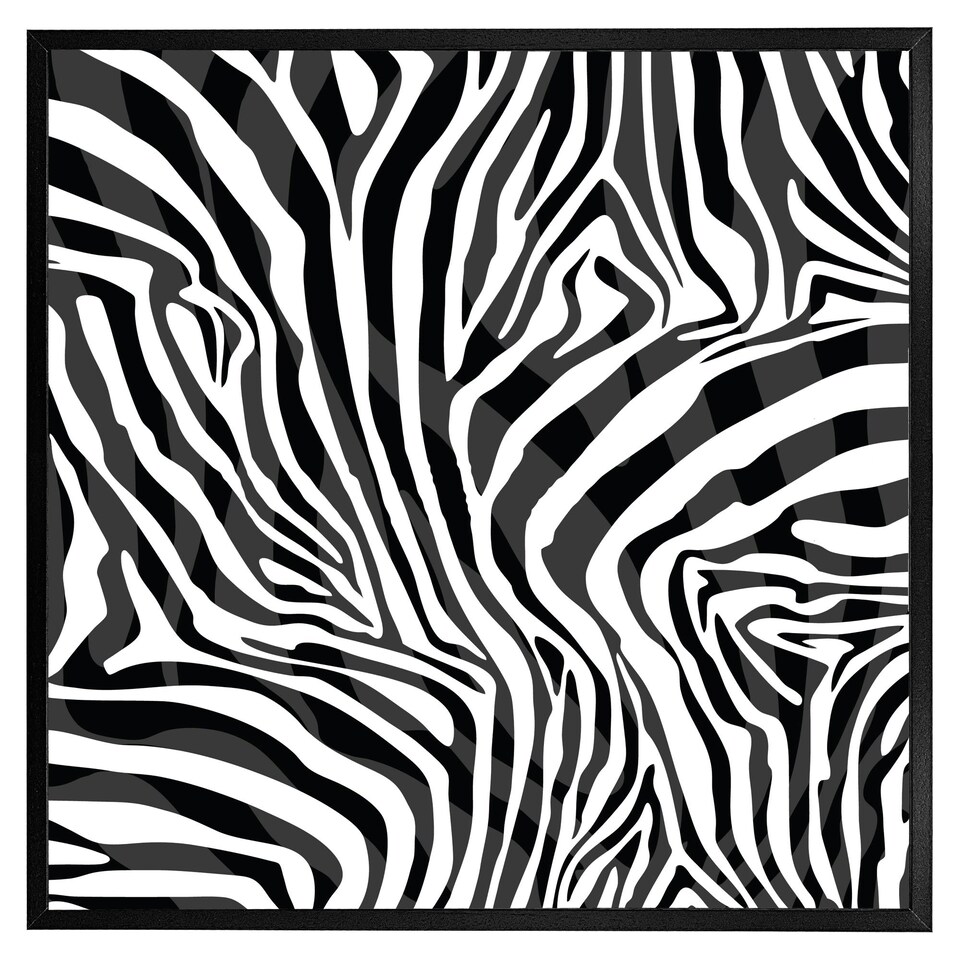 image 1 of Zebra animal print (Picture Frame) Brown | M