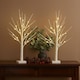 image 4 of Neo Set of 2 LED Pre Lit Twig Tree Lights 60cm Birch Tree Lamp Warm White Lights Battery Operated Decorative Centrepiece Flexible Branches Christmas Wedding Bedroom Home Décor