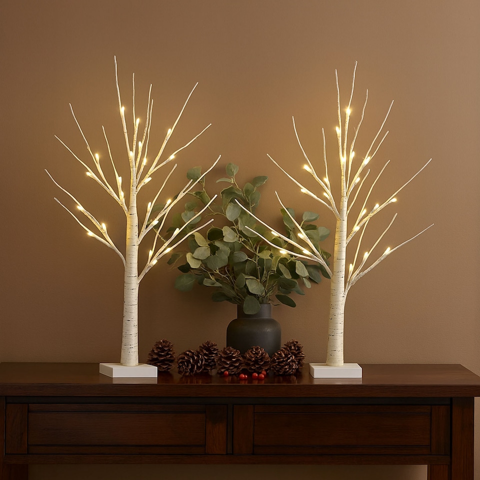 image 1 of Neo Set of 2 LED Pre Lit Twig Tree Lights 60cm Birch Tree Lamp Warm White Lights Battery Operated Decorative Centrepiece Flexible Branches Christmas Wedding Bedroom Home Décor