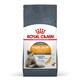 image 2 of Royal Canin Cat Hair & Skin Care - 10KG