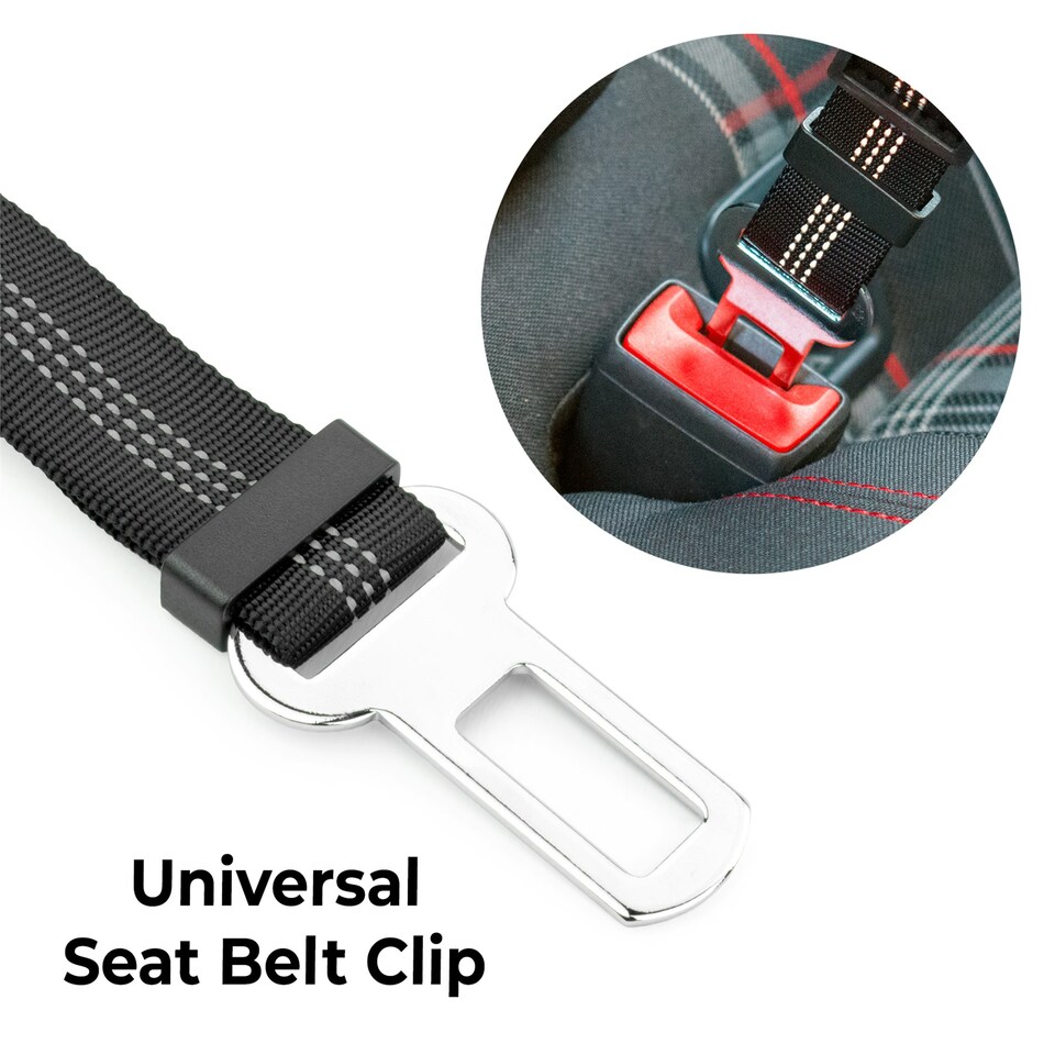 image 1 of KCT Black Car Seatbelt for Dogs Black | L