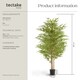 image 6 of Artificial Plant - bamboo grass, realistic look, low-maintenance | Green | green | 50 x 50 x 180 cm | 1