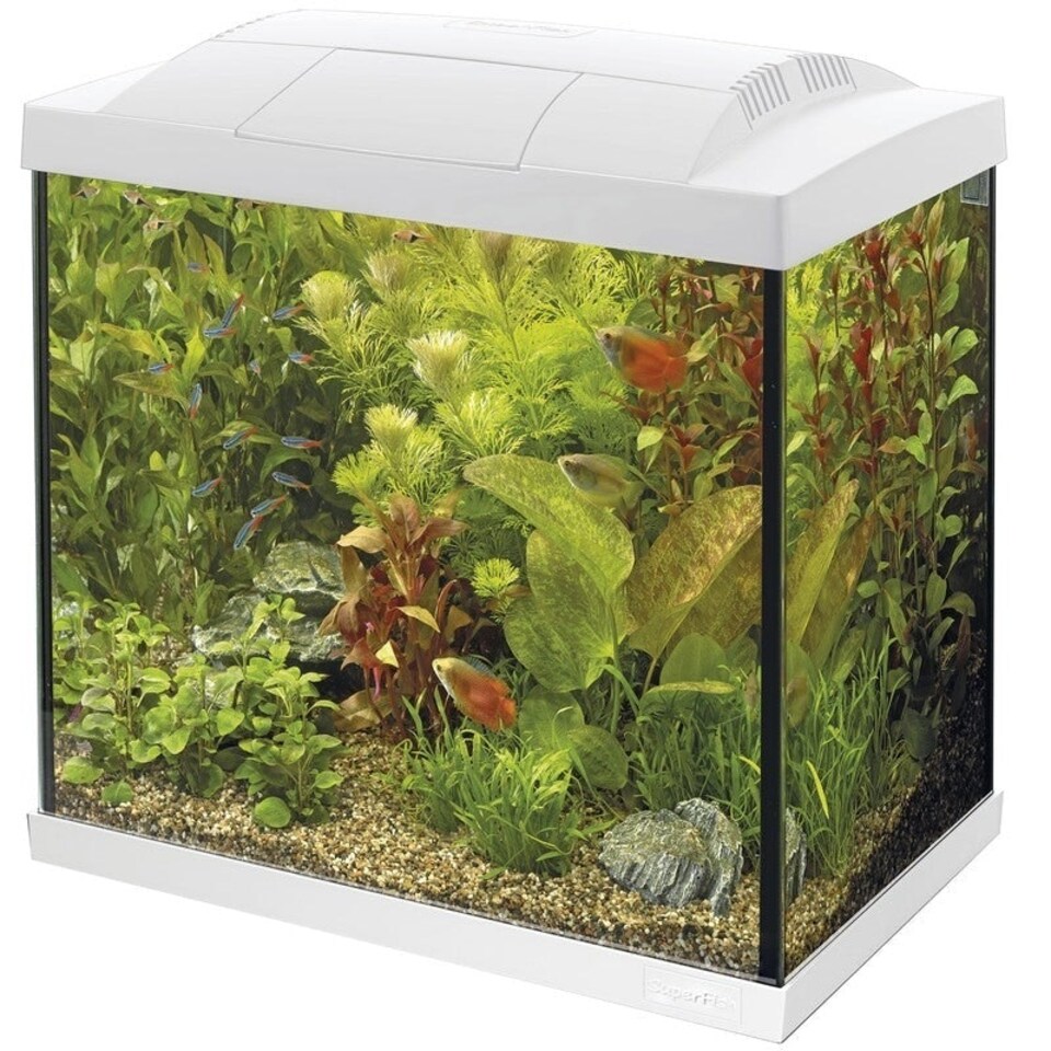 image 1 of Superfish Start 50 Tropical Aquarium Kits (40L) White