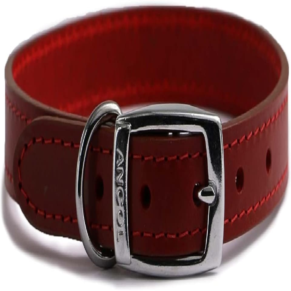 An Leather Collar Red 28-36CM SI Red | S