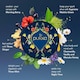 image 3 of Pukka Herbs Luxury Organic Herbal Tea Gift Set, 90 Teabags, 6 Distinct Flavours