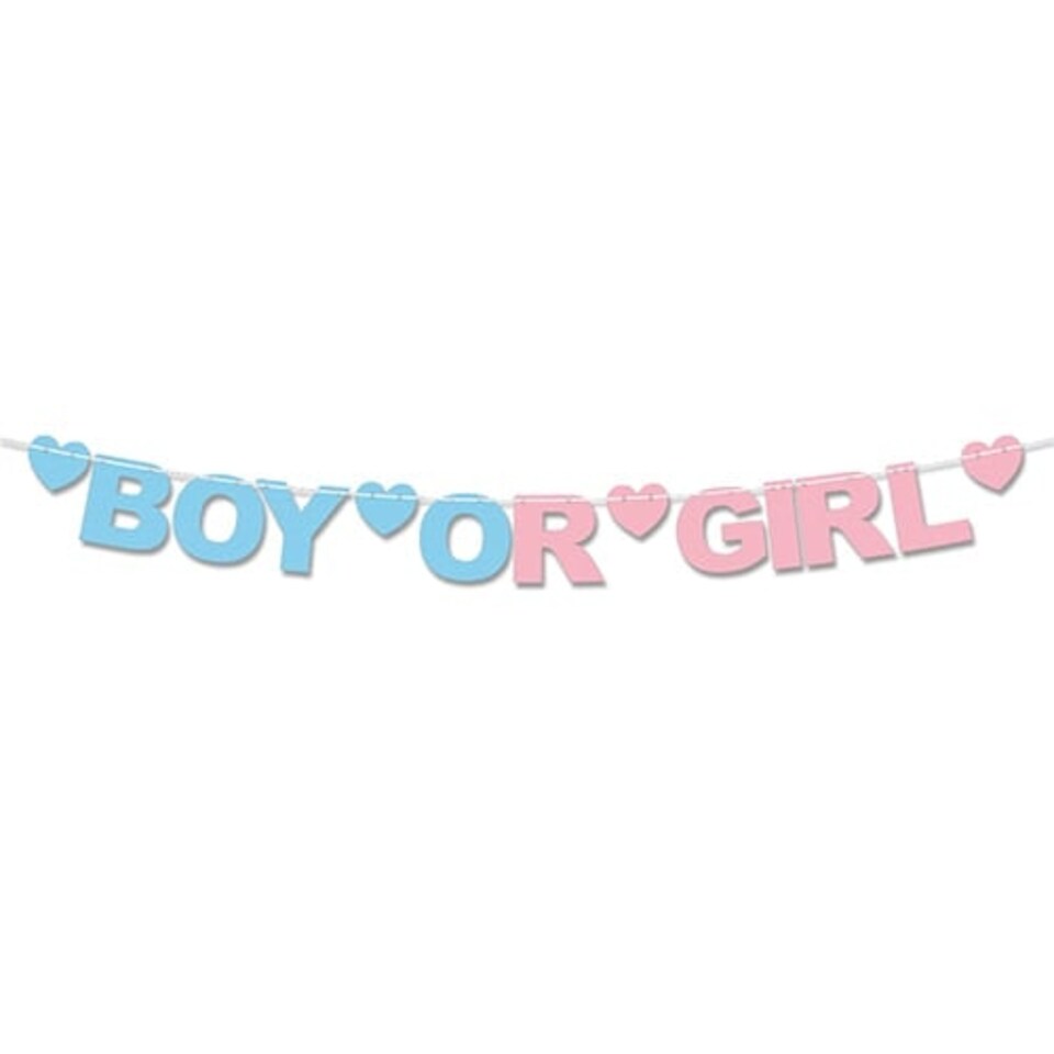 Boy or Girl Gender Reveal Recyclable Card Party Bunting