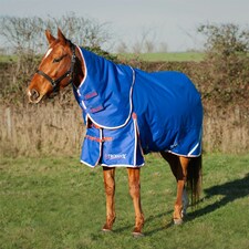 Gallop Equestrian Trojan Xtra 200 Dual Turnout Rug & Neck Set Blue | Size: 5ft 6
Colour: Royal Blue