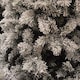 image 5 of 4ft Snowy Imperial Pine White Green Fir Artificial Christmas Tree