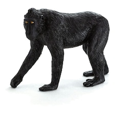 ANIMAL PLANET Wild Life & Woodland Black Crested Macaque Toy Figure, Three Years and Above, Black (387182)