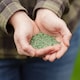 image 2 of Westland PureGreen Lawn Seed