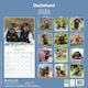 image 2 of Dachshund 2026 Calendar | Square Wall Calendar | Dog Breed Gift | Plastic Free Packaging | by Avonside Publishing