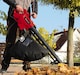 image 2 of Einhell Electric Leaf Vacuum GC-EL 3024 E