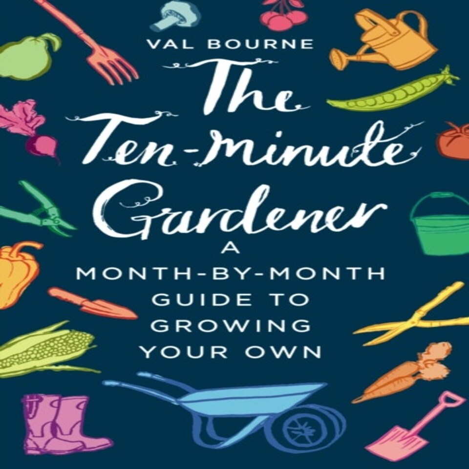 The Ten-minute Gardener
