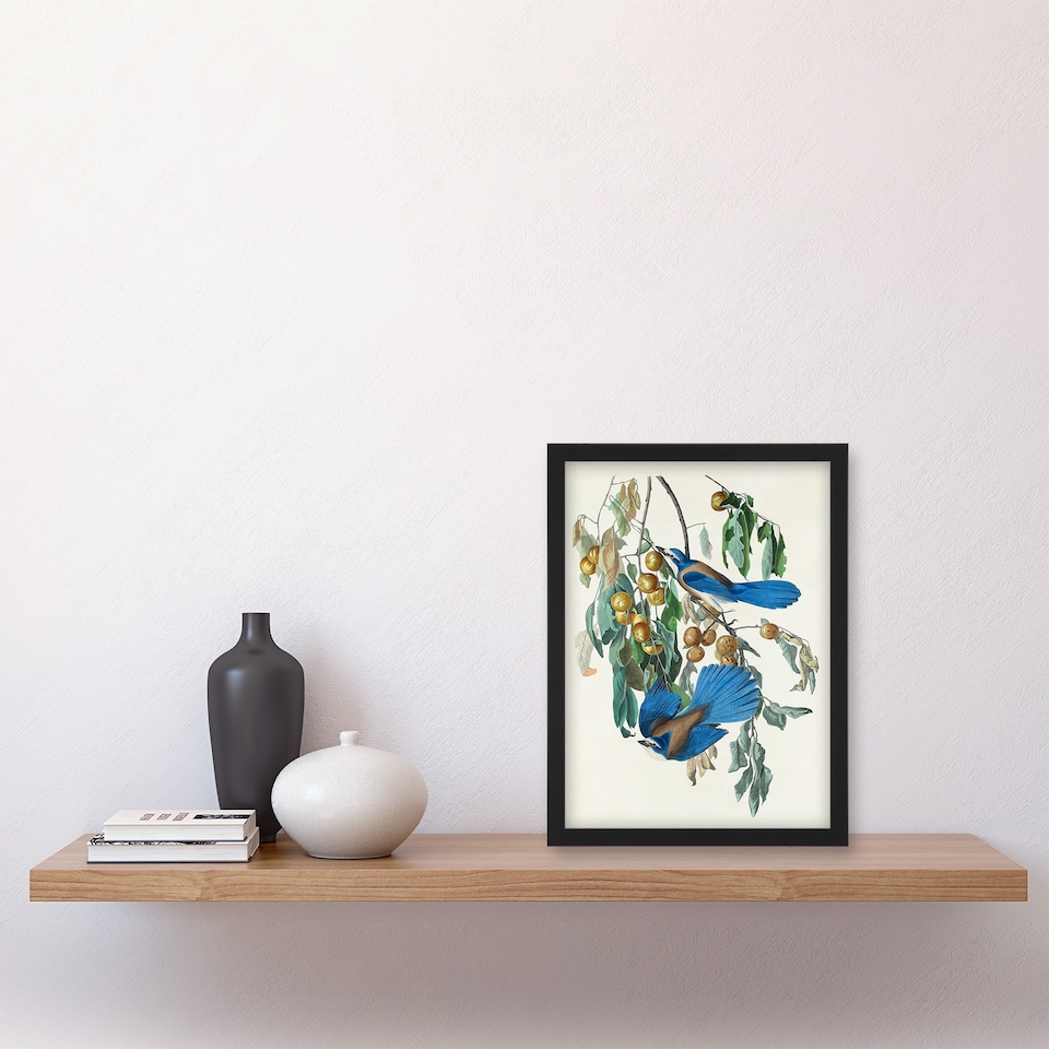 image 1 of John James Audubon Framed Wall Art Florida Jay and Persimmon Tree Home Décor