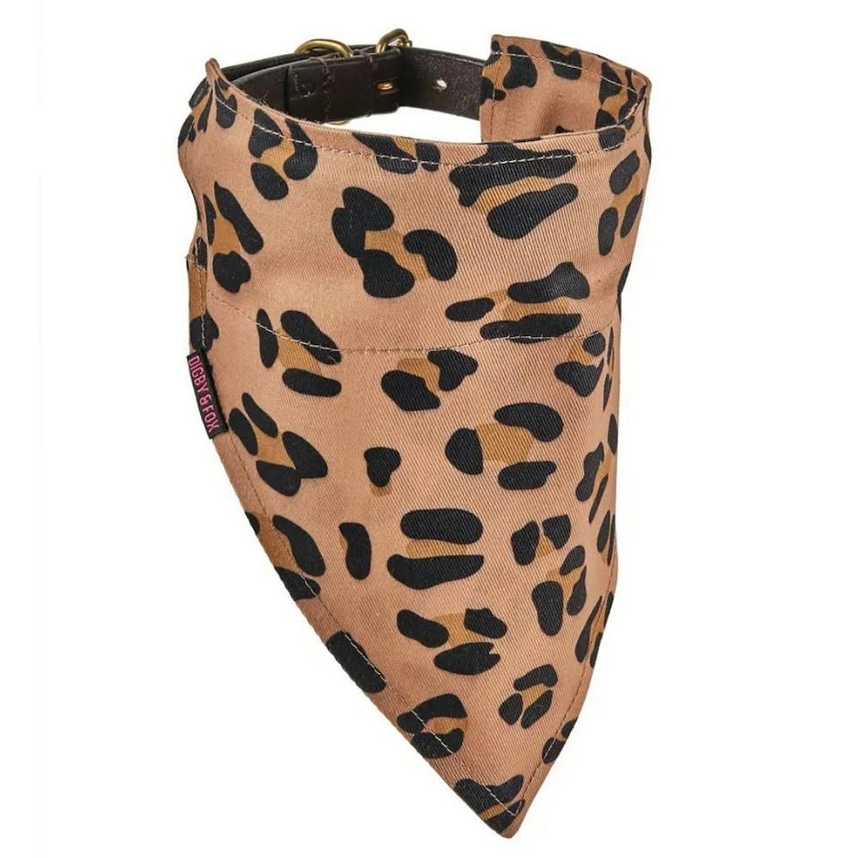 Digby & Fox Leopard Print Dog Bandana - Peach - S