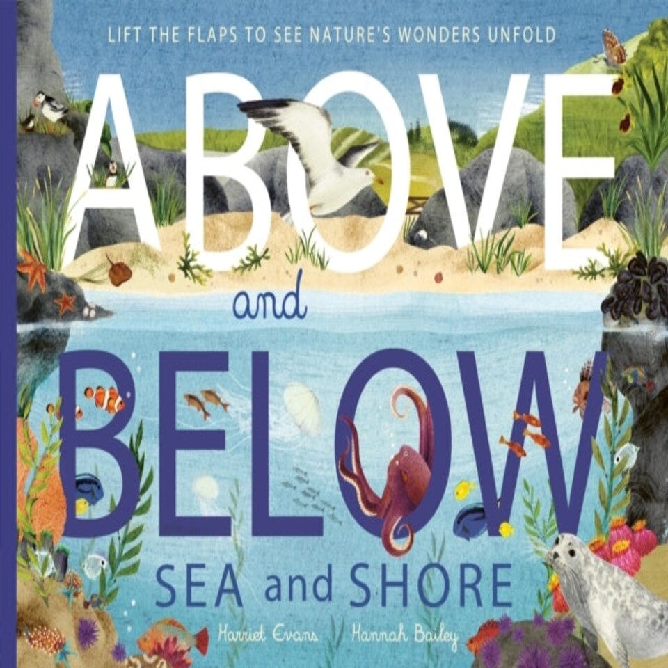 Above & Below Sea & Shore