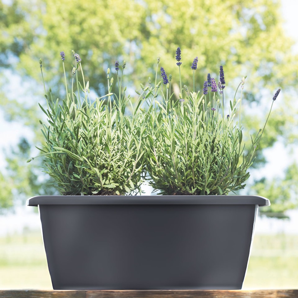 image 1 of Set of 2 Respana Balcony Plant Box with a Saucer Medium | Black | 1