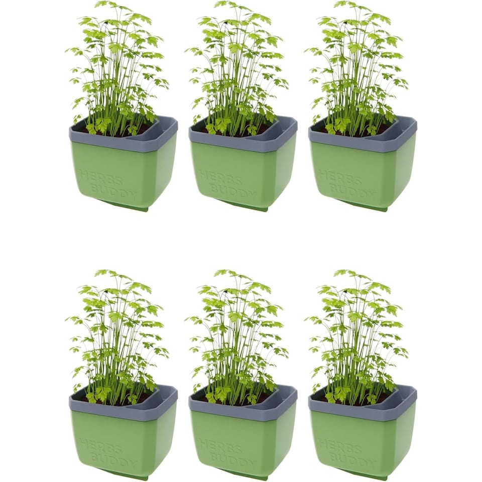 image 1 of GUSTA GARDEN Herbs Buddy Self-Watering Pot & Herb Pot for Kitchen & Windowsill, Ideal for Basil, Water Tank, Water Level Indicator (6 units - dark green)