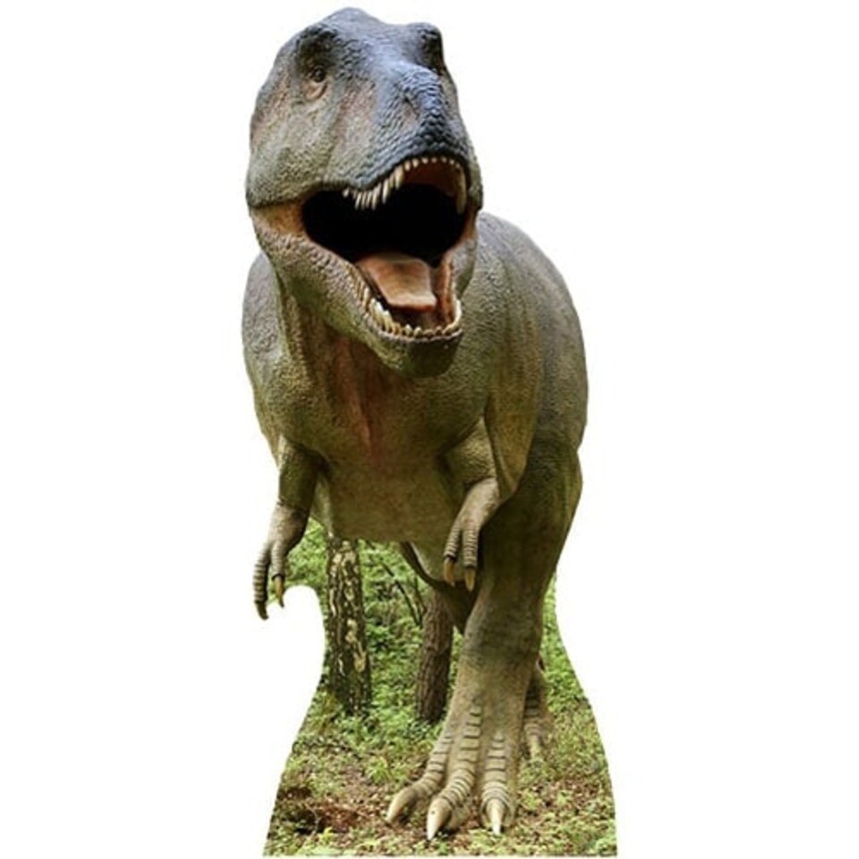 T-Rex Dinosaur Lifesize Cardboard Cutout 183cm