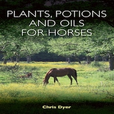 Plants Potions And Oils For Horses