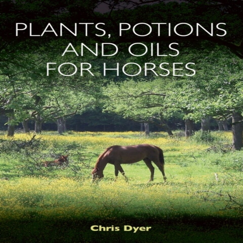 Plants Potions And Oils For Horses