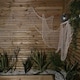 image 4 of Pack of 2 2.9m Halloween Freaky Fabric Net Decoration in Cream