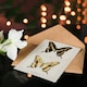 image 4 of Sherman Denton Art Card Giant Swallowtail Butterfly