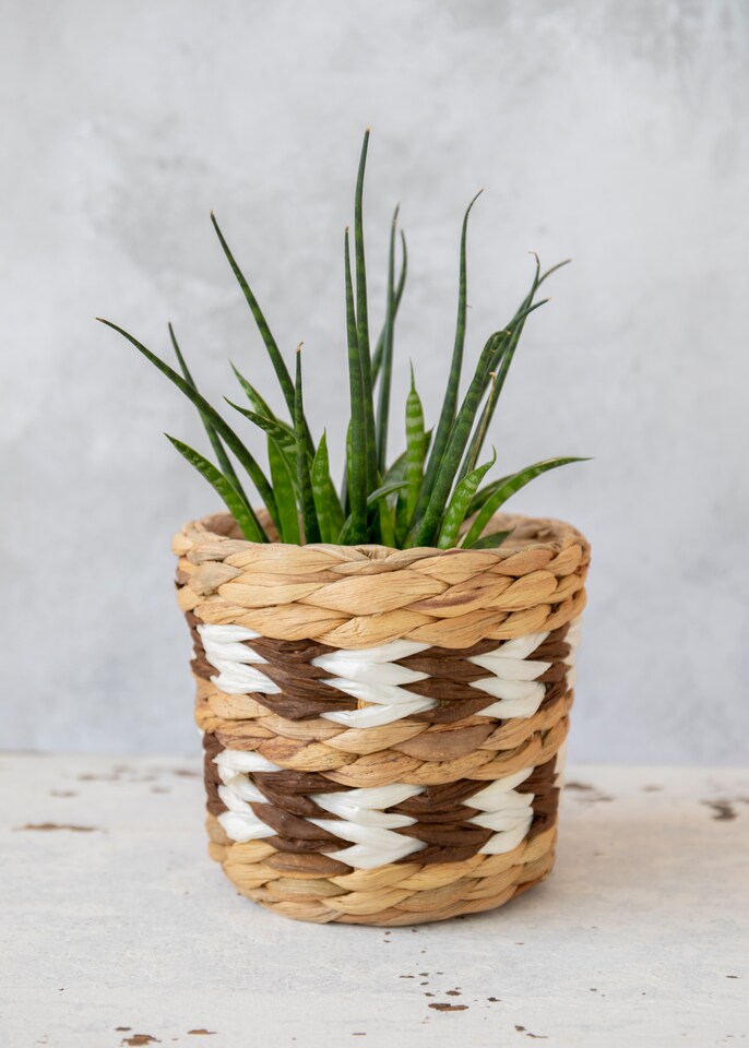 image 1 of KitchenCraft Natural Woven Indoor Plant Pot with Striped Design
