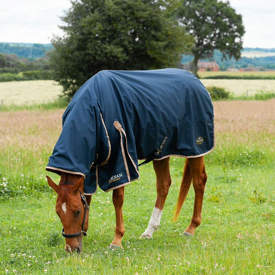 image 1 of Gallop Equestrian Trojan 100 Combo Turnout Red | Size: 4ft 9
Colour: Navy/Red