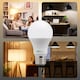 image 7 of BELL Lighting E27 Edison Screw LED GLS 8.1W LED Bulbs Warm White 2700K