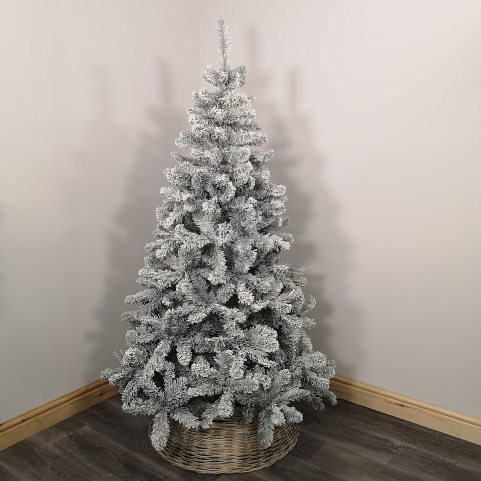 image 1 of Kaemingk 8ft (240cm) Flocked Snowy Imperial Pine Hinged Christmas Trees