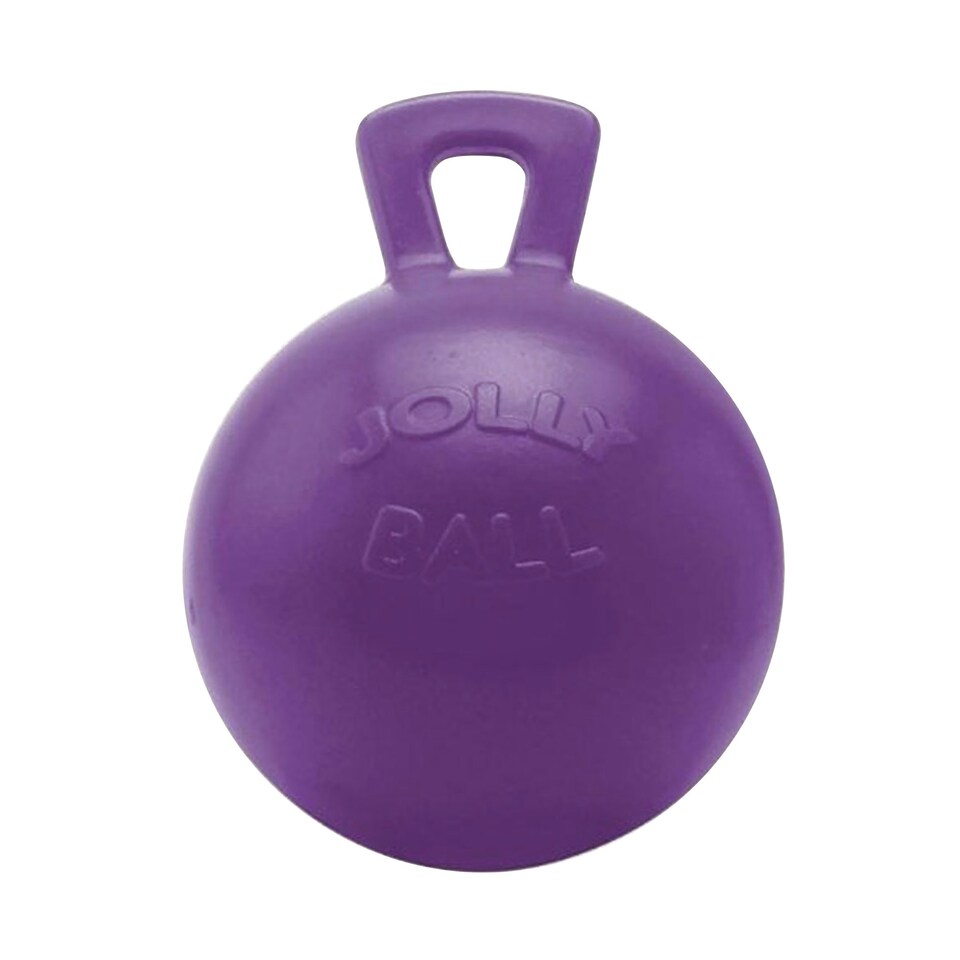 image 1 of Horsemens Pride Jolly Ball Horse Toy - Purple - 10in
