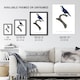 image 3 of The Arimanon Parakeet Parrot Levaillant Huge Wall Art Poster Print 24X32"