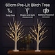 image 6 of Neo Set of 2 LED Pre Lit Twig Tree Lights 60cm Birch Tree Lamp Warm White Lights Battery Operated Decorative Centrepiece Flexible Branches Christmas Wedding Bedroom Home Décor