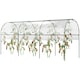 image 1 of Outsunny Tomato Greenhouse with Top Tap, Pointed Bottom and Guy Ropes, Clear