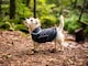 image 3 of Henry Wag Grey Microfibre Drying Coat For Use After Bath Time Or A Muddy Walk, Size X-Large 65cm | Grey | Grey | XL | 1