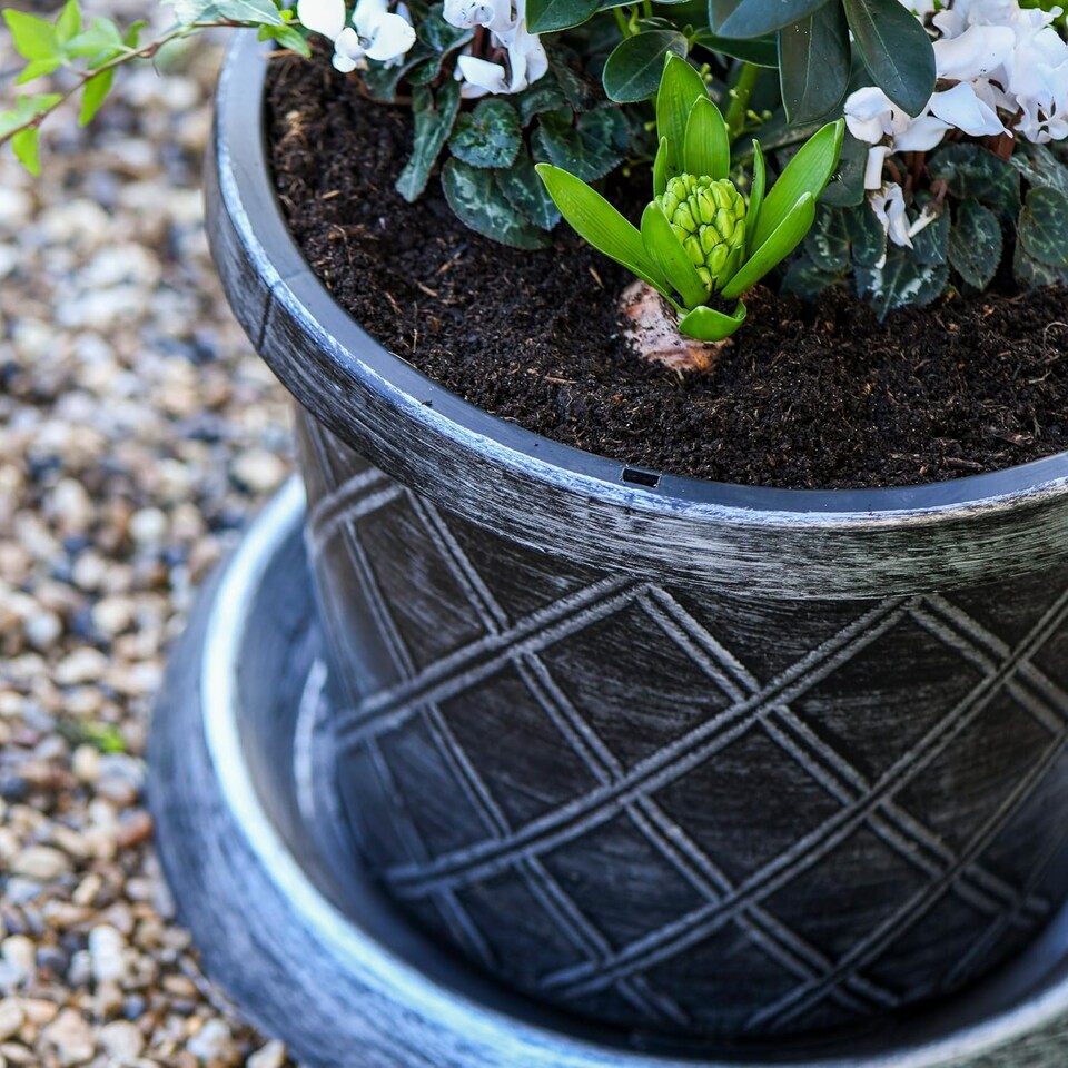 image 1 of Plastic Flowerpot with Saucer in Black & Silver x 2 | Black
