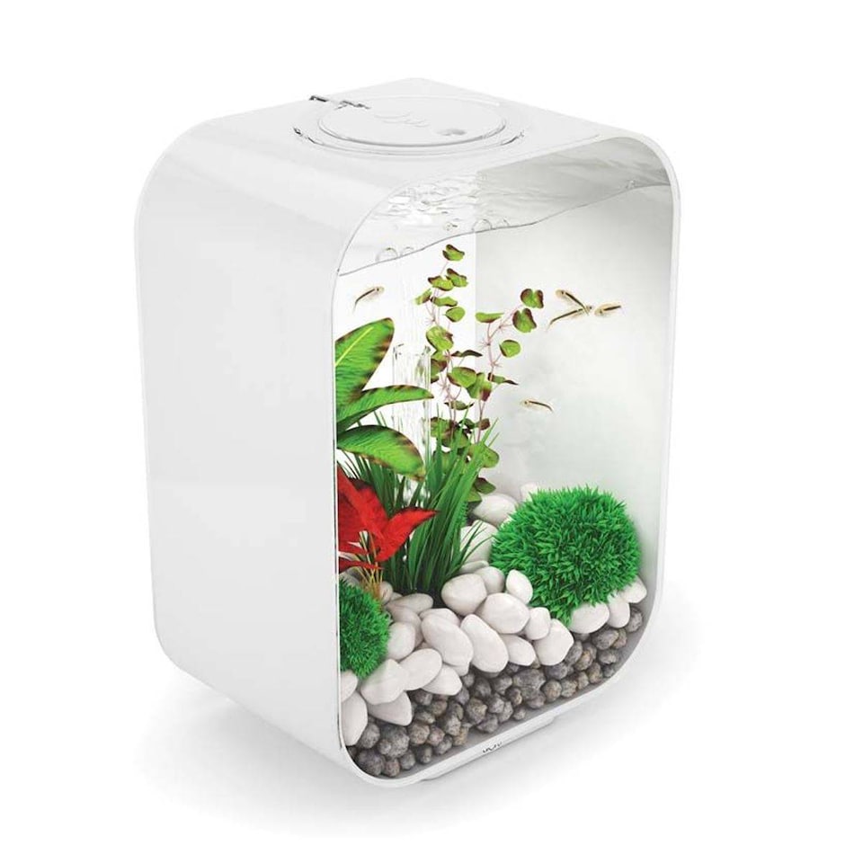 image 1 of BiOrb LIFE 15L White Aquarium Fish Tank with Multi Colour LED Lighting
